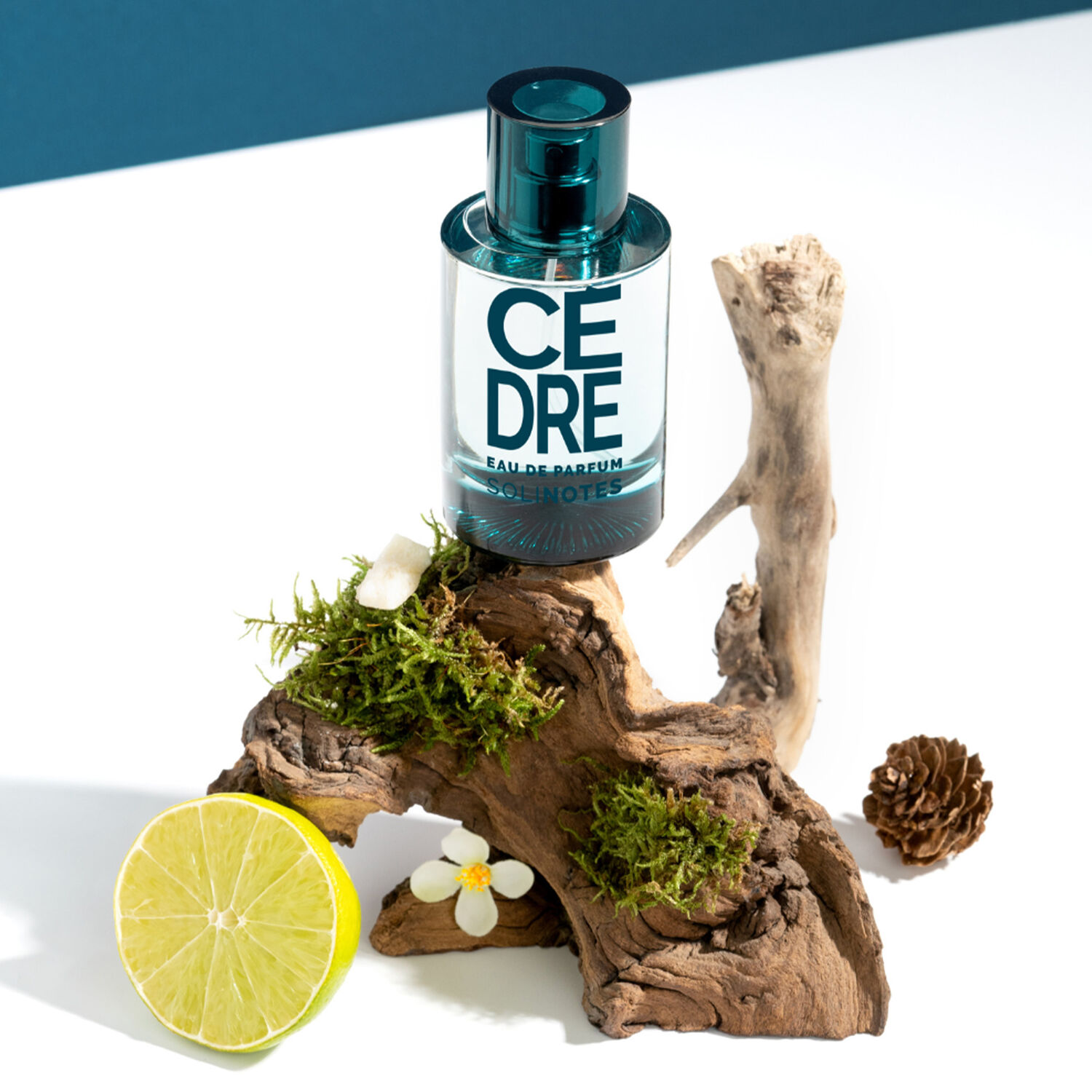 Cèdre - Eau de Parfum