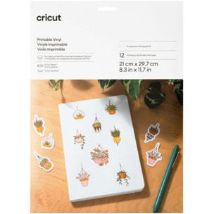 Accessoire CRICUT Vinyl A4 10 feuilles transparent