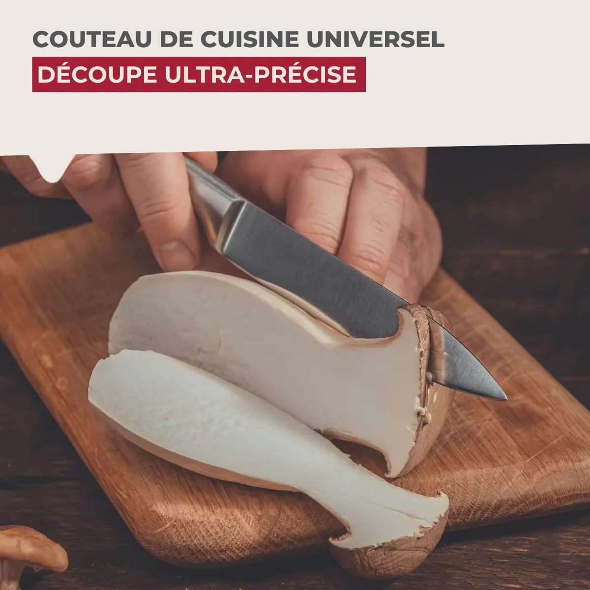 Set de 4 couteaux de cuisine universels 24 cm en inox Nirosta Star