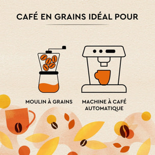 Carte Noire Grains Petit Déjeuner 1kg
