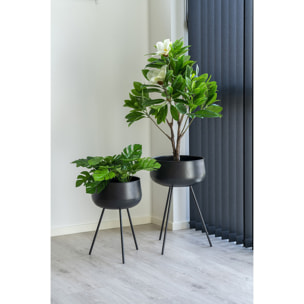 Set 2 vasi da fiori Ardola in acciaio nero