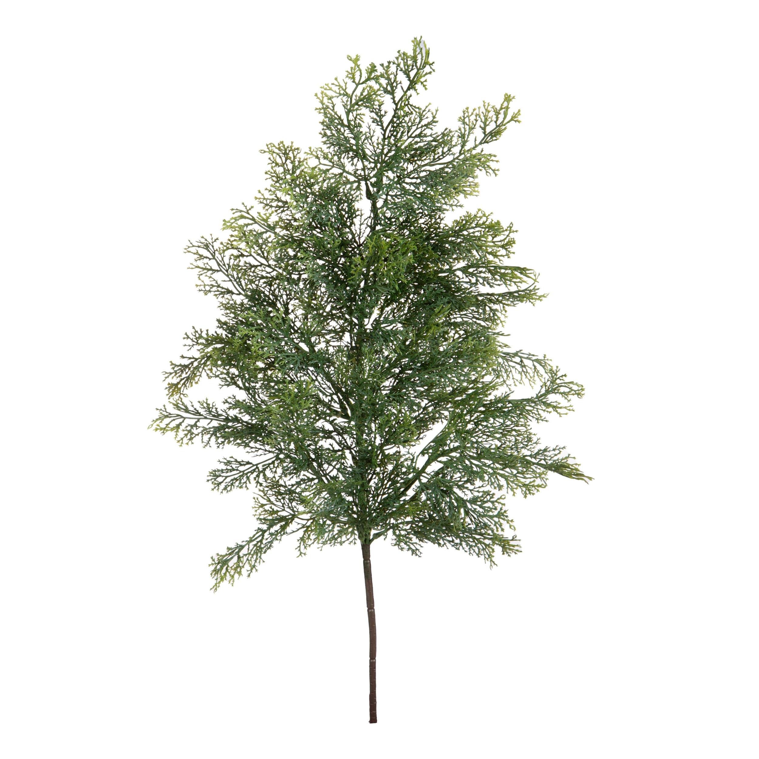 Ramo cedro - Pezzi 12 - 22xH79x21cm - Bianchi Dino SpA