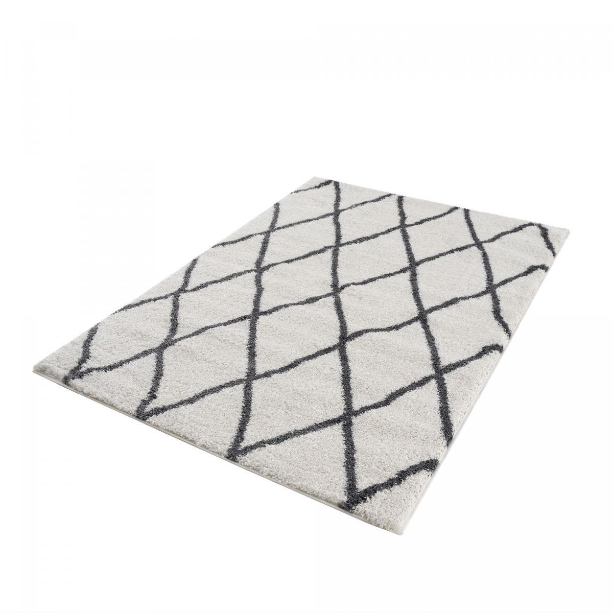 Tapis Shaggy longues mêches et aux motifs traditionnels Berbères