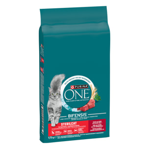 PURINA ONE Stérilisé Bœuf 9,75kg