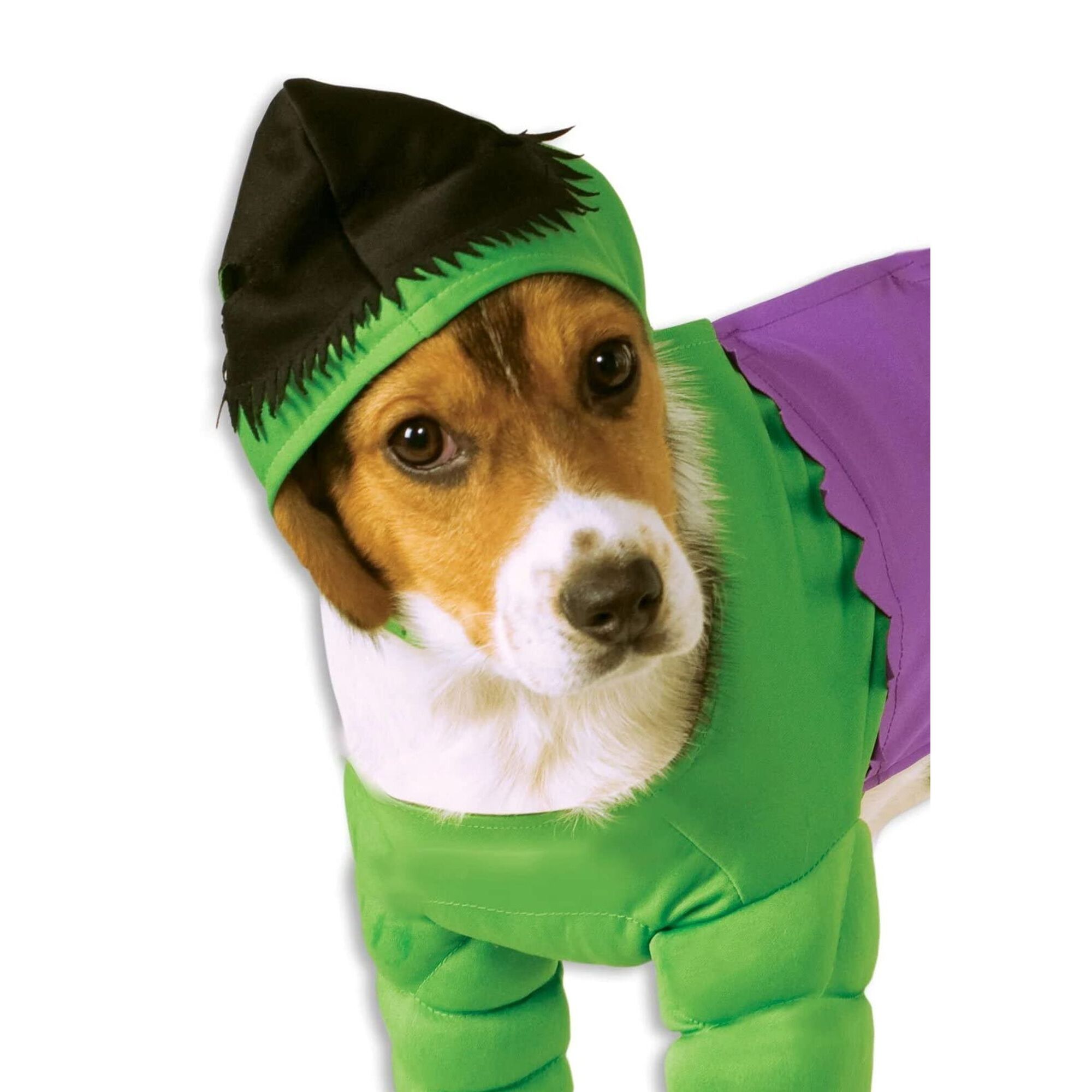 DISFRAZ HULK MASCOTA