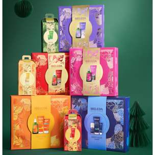 WELEDA - COFFRET HIVER COLDCREAM + EVERON 2025