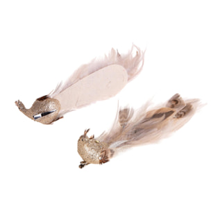 Pavoni - Pezzi 2 - 12xH23x4cm - Bianchi Dino SpA