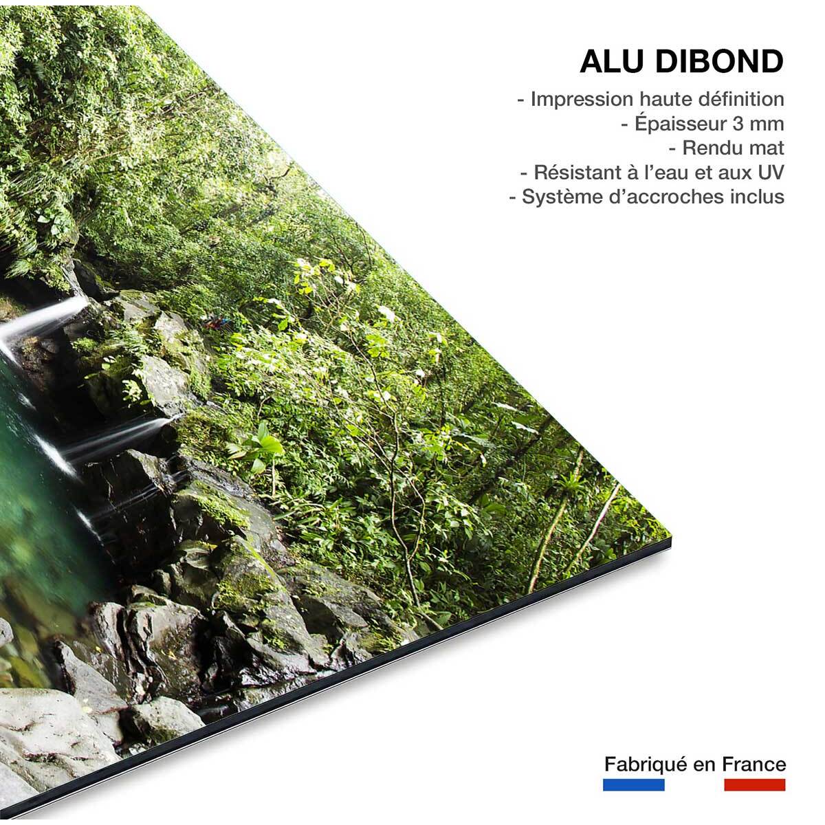 Tableau petit bassin Tableau alu Dibond