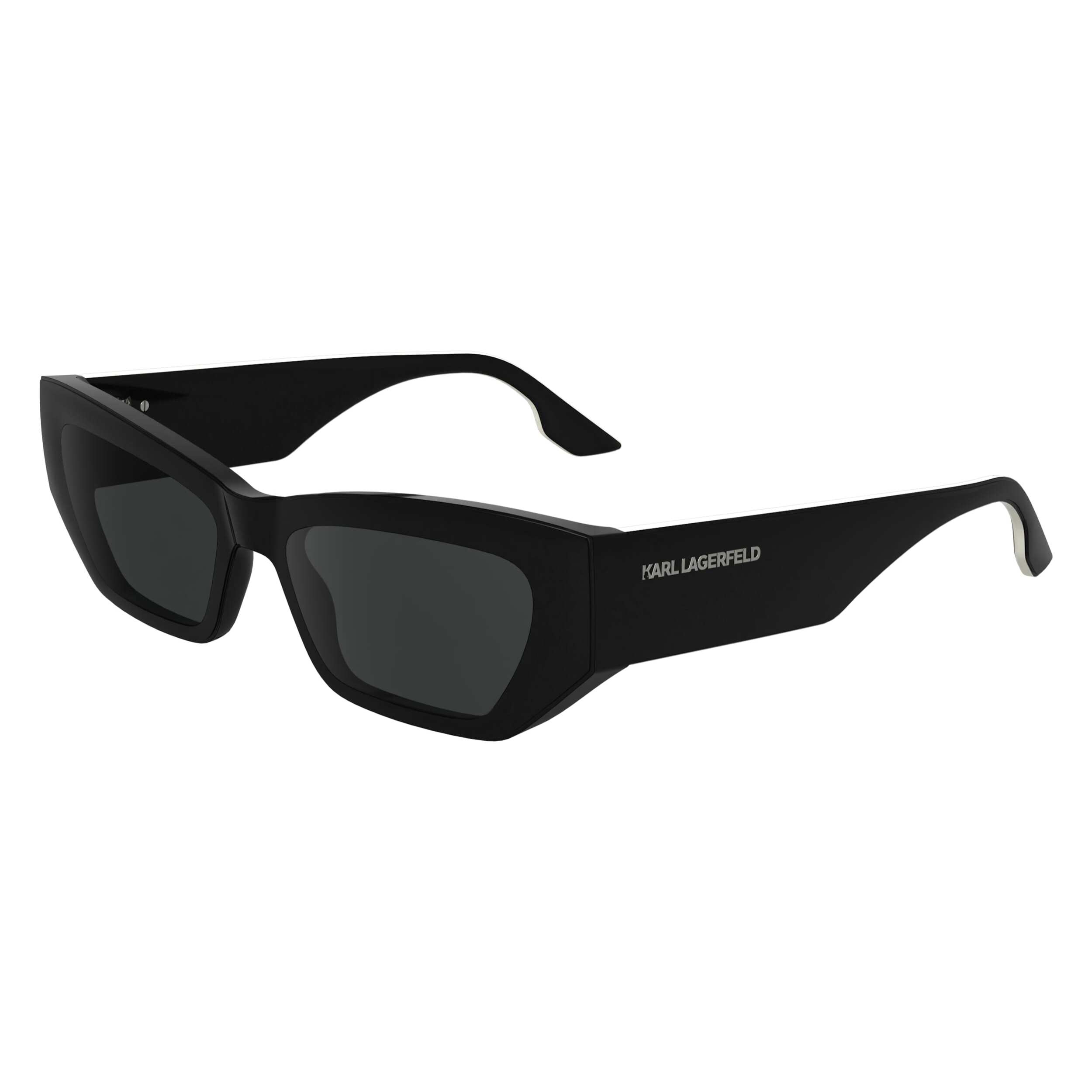 Gafas de sol Karl Lagerfeld Unisex KL6160S-5417001