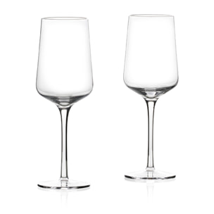 Set de 2 verres à rhum Rocks 21 cl