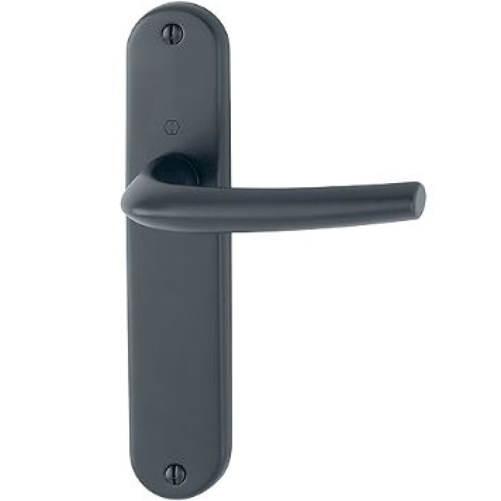 Ensemble sur plaque San Diego HOPPE 1191/347 Noir mat 165 mm - Bec de cane - 11719941