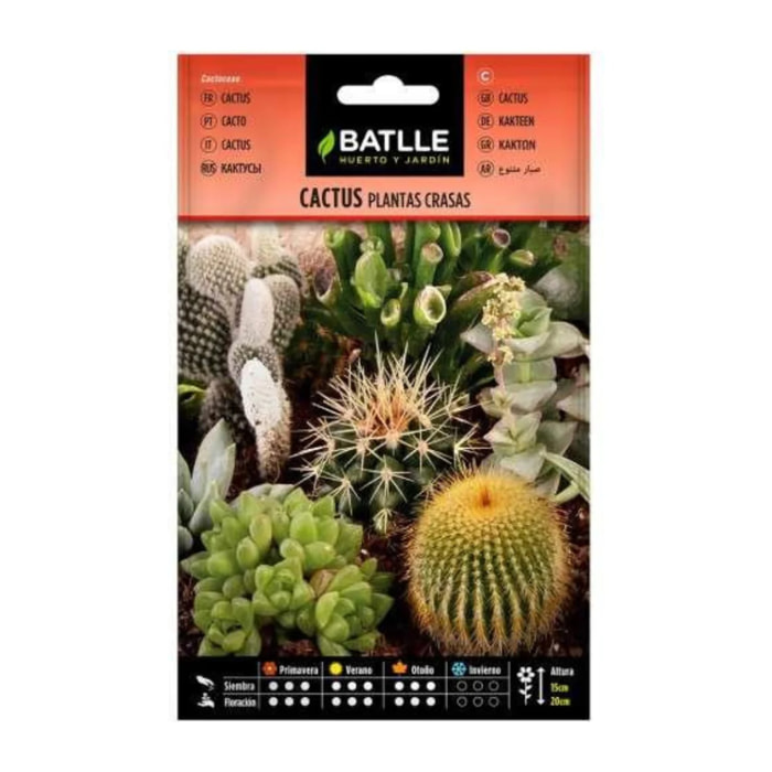 Semillas de Cactus plantas crasas Batlle