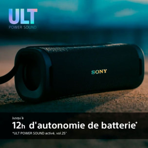 Enceinte portable SONY ULT FIELD 1 Gris Foret