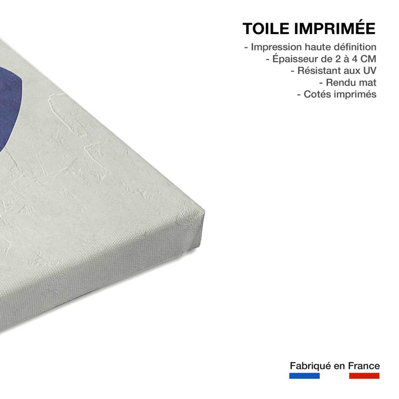 Tableau organique femme bleue  Toile imprimée