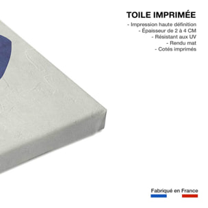 Tableau organique femme bleue  Toile imprimée