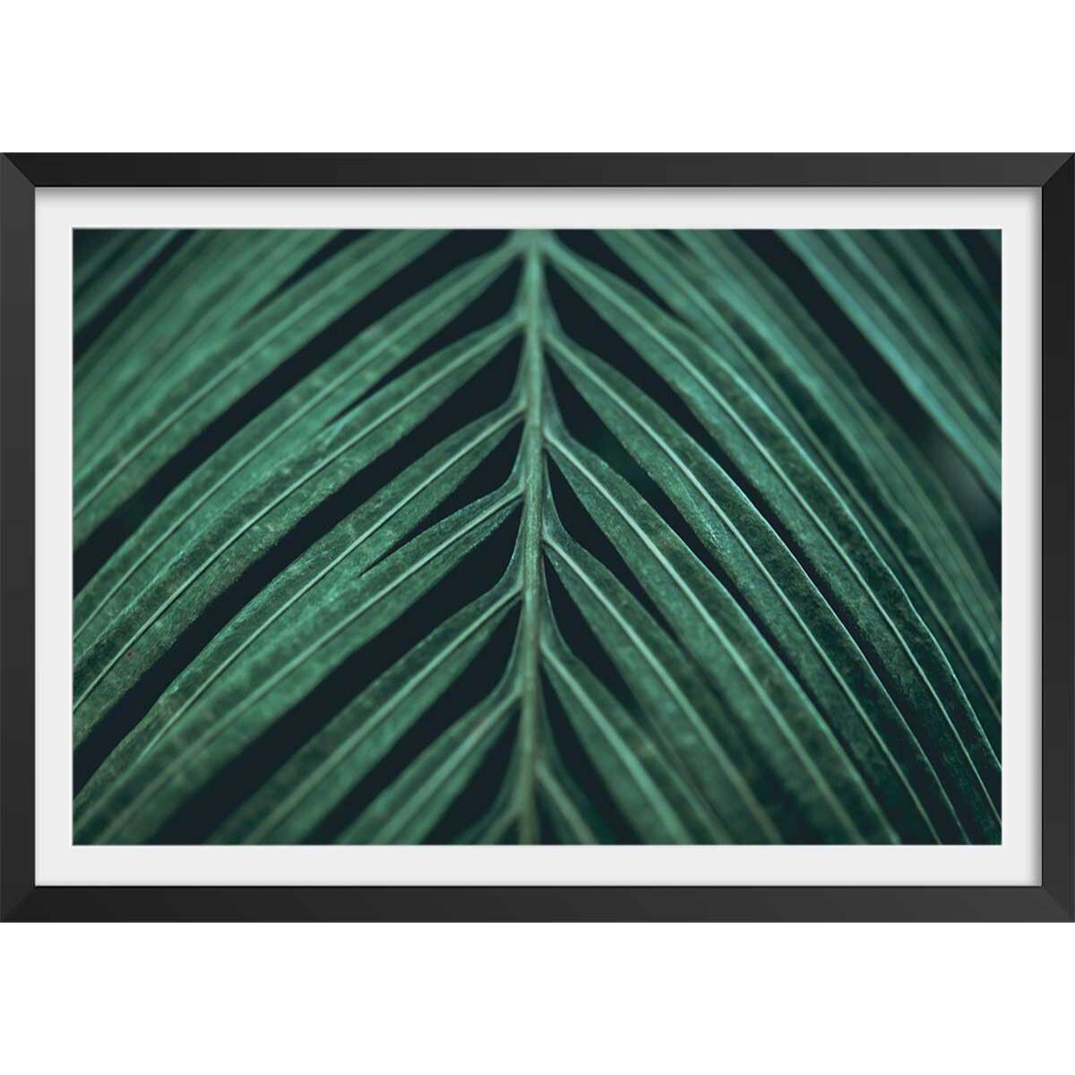 Affiche feuille palmen Affiche + cadre en bois - Noir