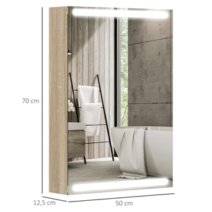 Armoire murale salle de bain  1 porte miroir lumineux LED intégré 50 x 70 cm 2 étagères verre effet bois