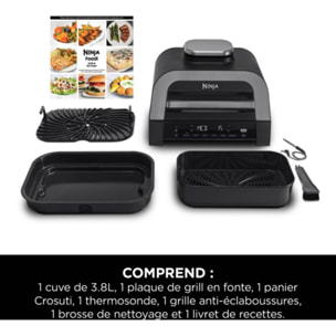 Grille-viande NINJA Foodi DG551EU thermosonde à poser, 40x27 cm