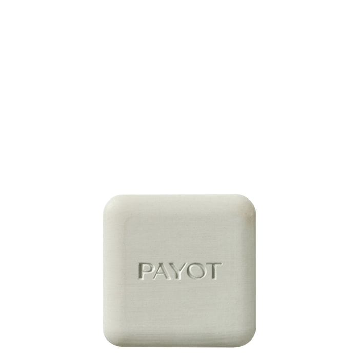 Pâte Grise - Pain Nettoyant Purifiant 65 g