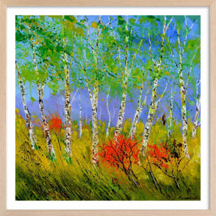 Affiche  bouleaux et coquelicots Affiche + cadre en bois - Chêne