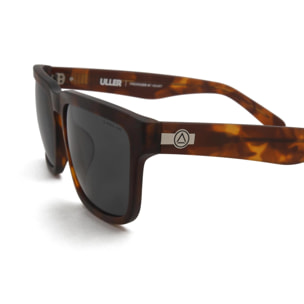 Gafas de Sol Uller Artic Brown Tortoise / Black