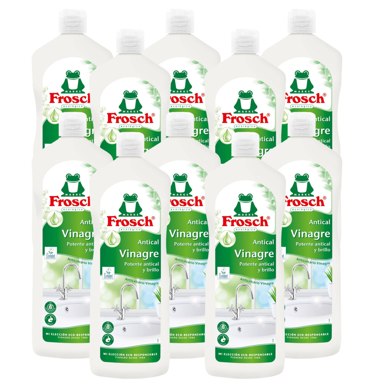 Pack 10x Vinagre antical Eco Frosch 1000 ml