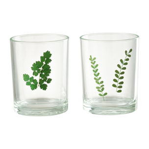 J-Line photophore Feuilles - verre - vert/transparent - 2 pcs