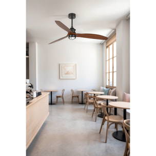 JUST FAN M LED Ventilatore a soffitto nero/noce