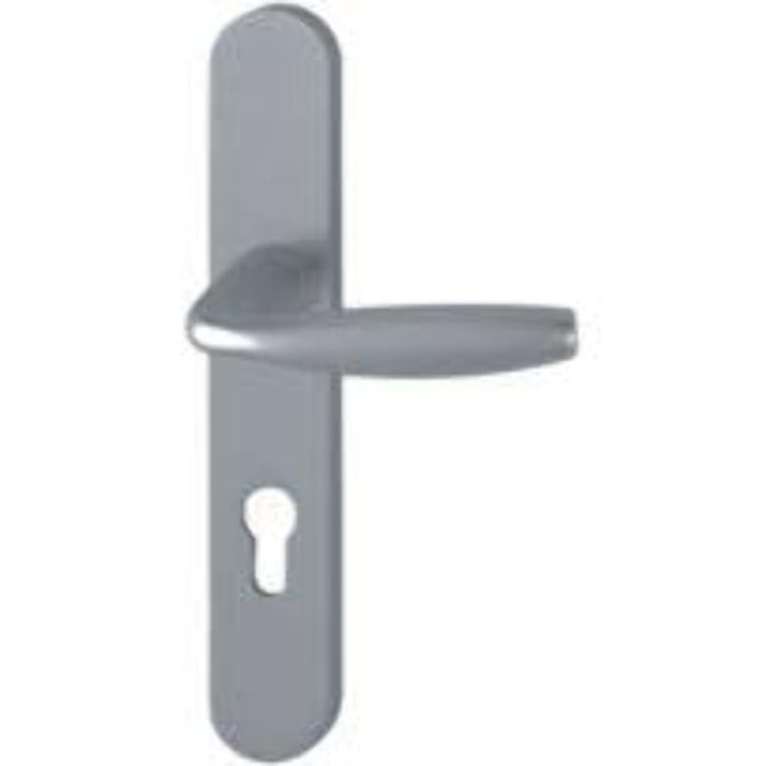 Ensemble de porte plaque large New york Clé i aspect inox F9 HOPPE - 1810/300M - 195mm - entr.7/70 C.7mm - 58/67 - 3281160