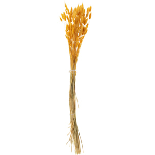 J-Line fleur séchée - Fagot de queue de lièvre - plume séchée - orange/or