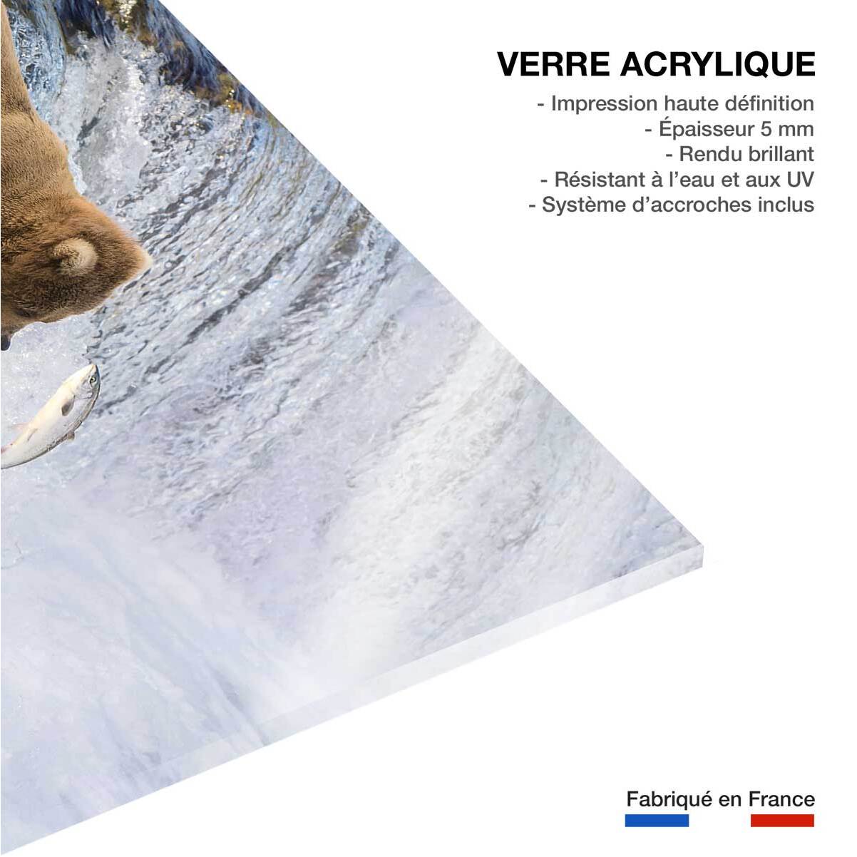 Tableau Un ours pêche sur le bord Tableau plexiglas