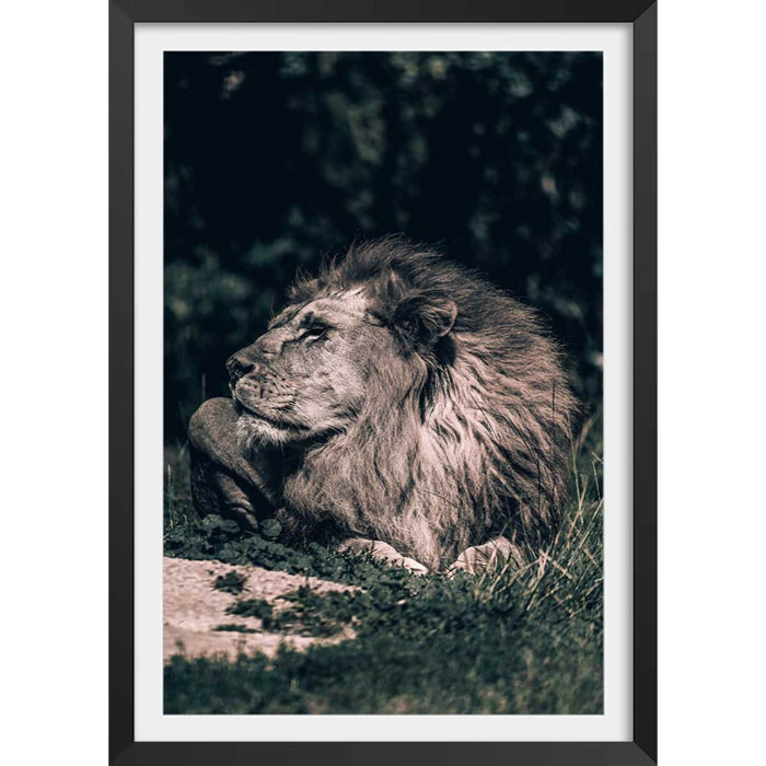 Affiche lion mon roi Affiche + cadre en bois - Noir