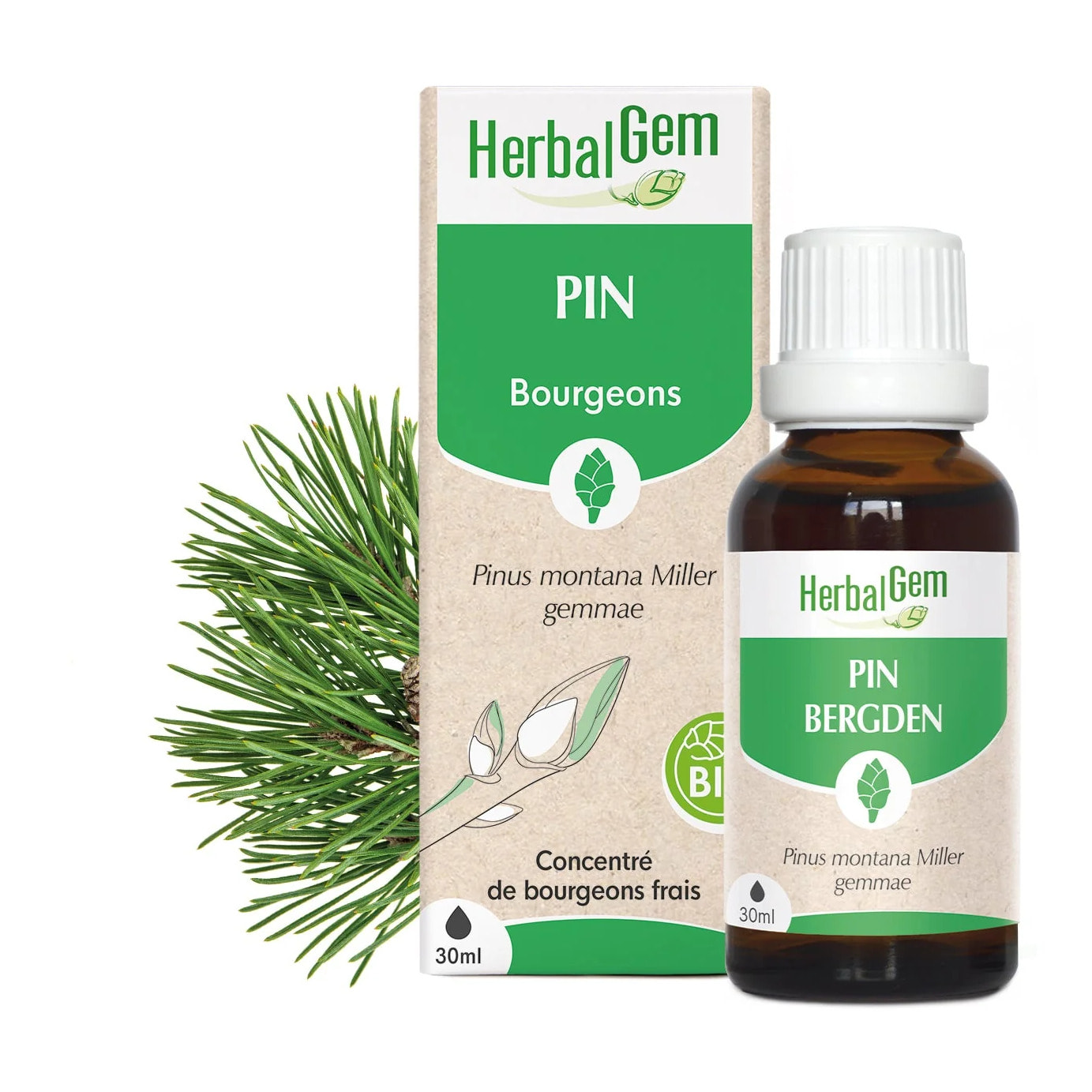 Herbalgem- Bourgeon de pin - Bio - 30 ml