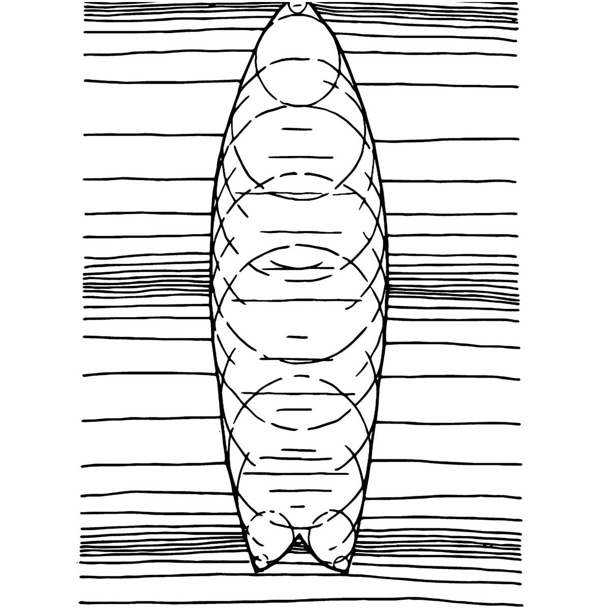 Tableau surf géo Toile imprimée