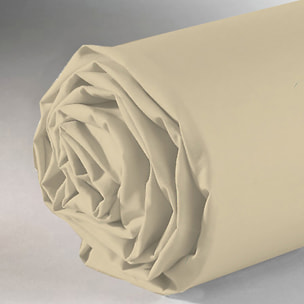 Drap Housse - Bonnet:25cm Marron Clair