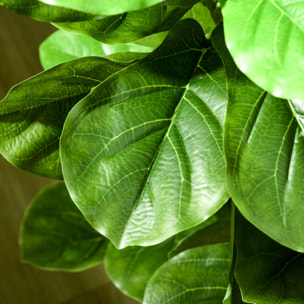 Ficus Lutea artificiels 1,80H m - lot de 2 ficus artificiels - 120 feuilles réalistes par pied - pot inclus noir vert