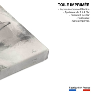 Tableau contemporain eclats de forme Toile imprimée