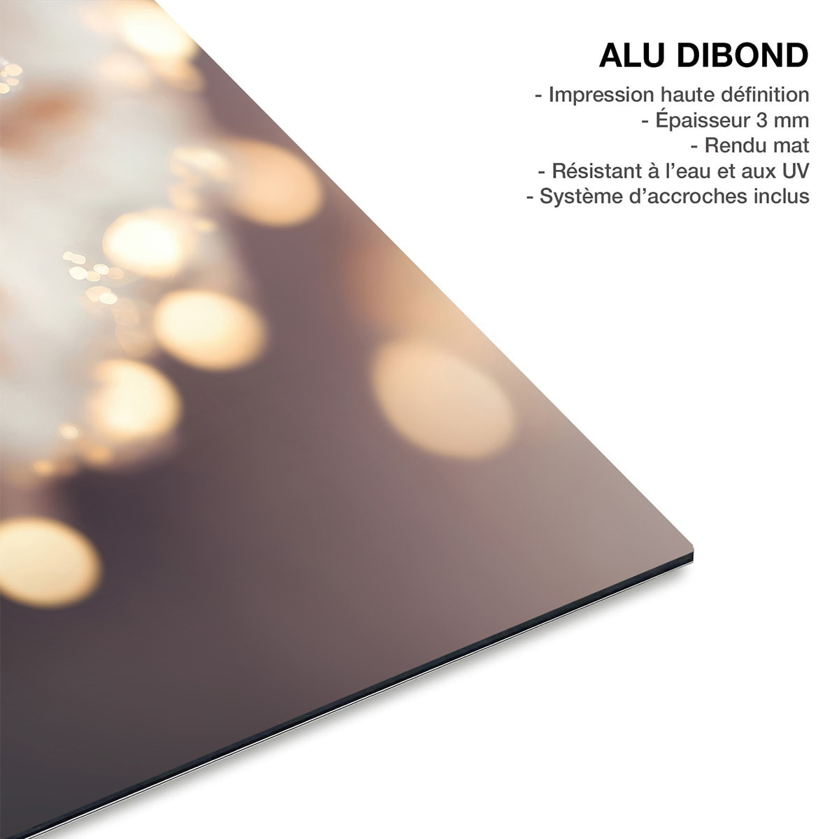Tableau floral Fleurs scintillantes Tableau alu Dibond