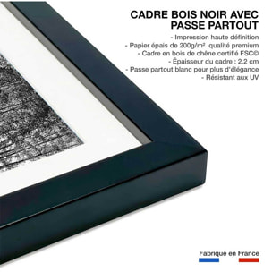 Affiche nature pointillisme Affiche sous cadre noir