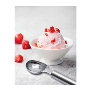 Cuillère à glace Fackelmann Elemental