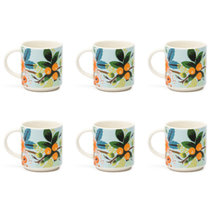 Set 6 Tazzine Caffè Excelsa – Fiori Frida, New Bone China Multicolore