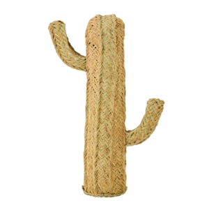 J-Line Cactus décoratif - roseau - naturel - small