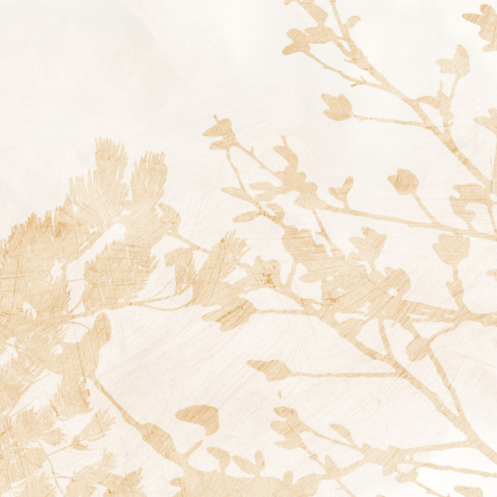 Papier peint panoramique Albero