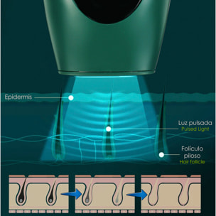 DAM Depiladora IPL de luz pulsada. 8 niveles, 900.000 disparos de flash. 16,8x7,8x11,2 Cm. Color: Verde Oscuro