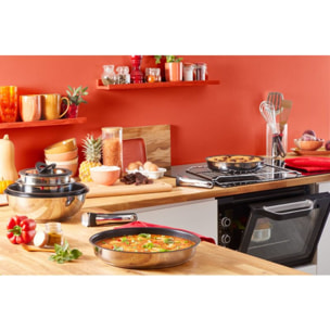 Poêle TEFAL Ingenio Preference L9720402 24 cm