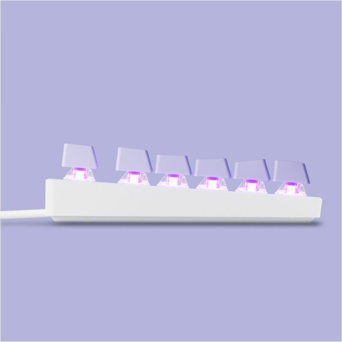 Clavier gamer SKILLKORP K5 VIOLET Access