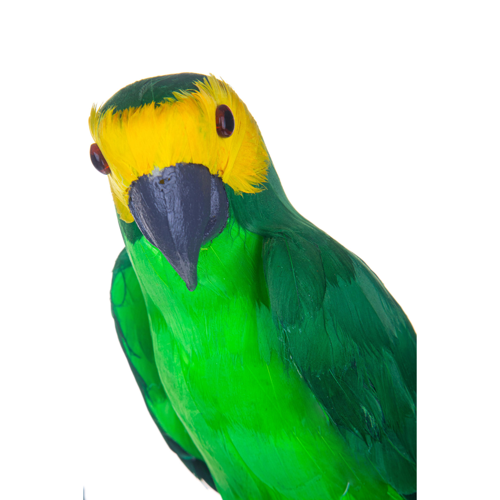 Pappagallo Verde. Altezza 43 Cm - Pezzi 1 - 15X70X16cm - Colore: Verde - Bianchi Dino - Articoli Primaverili E Pasquali