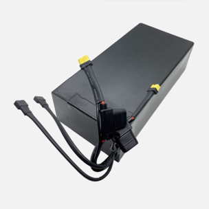 Batterie E-CROSS MAX 2X2