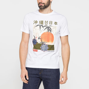 T-SHIRT DI COTONE CON VARIE STAMPE E FANTASIE