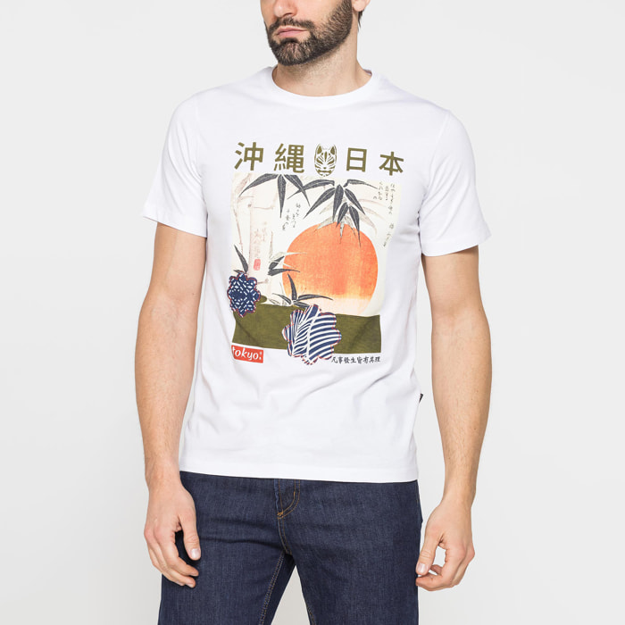 T-SHIRT DI COTONE CON VARIE STAMPE E FANTASIE